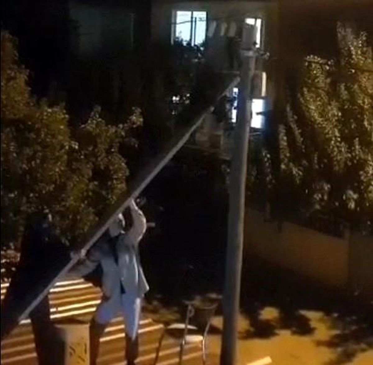 Kula\'da mahsur kalan sokak kedisini kurtaran kız kardeşler takdir topladı