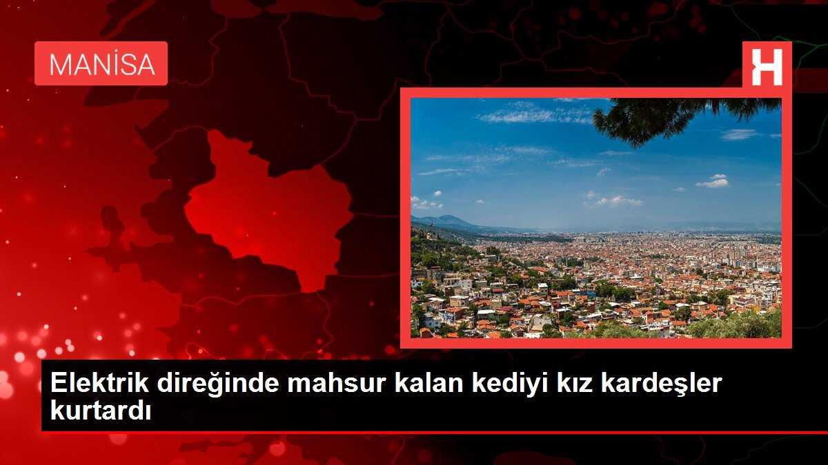 Elektrik direğinde mahsur kalan kediyi kız kardeşler kurtardı