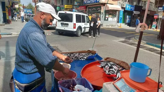 Hamsi bolluğu etiketlere yansıdı! Kilosu 50 liradan satılıyor