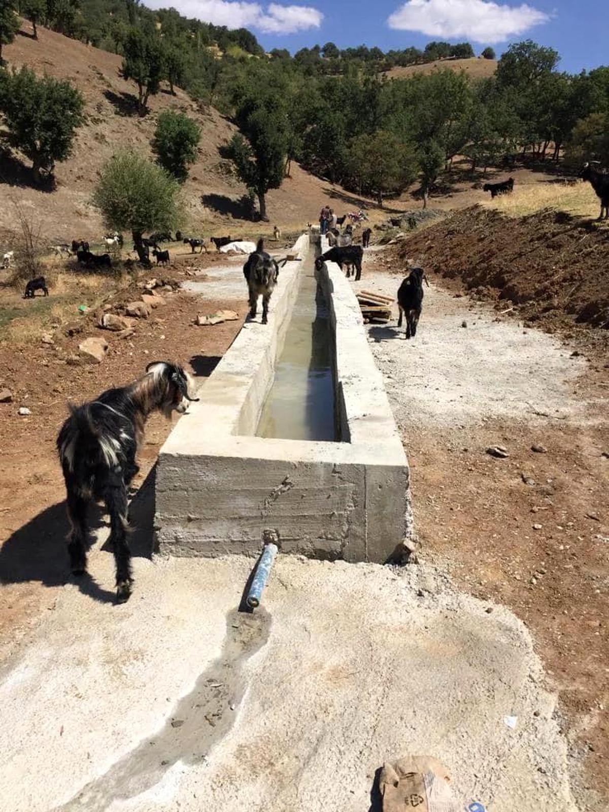 Bitlis İl Özel İdaresi, Hizan\'da hayvan suluğu kurulumu yapıyor