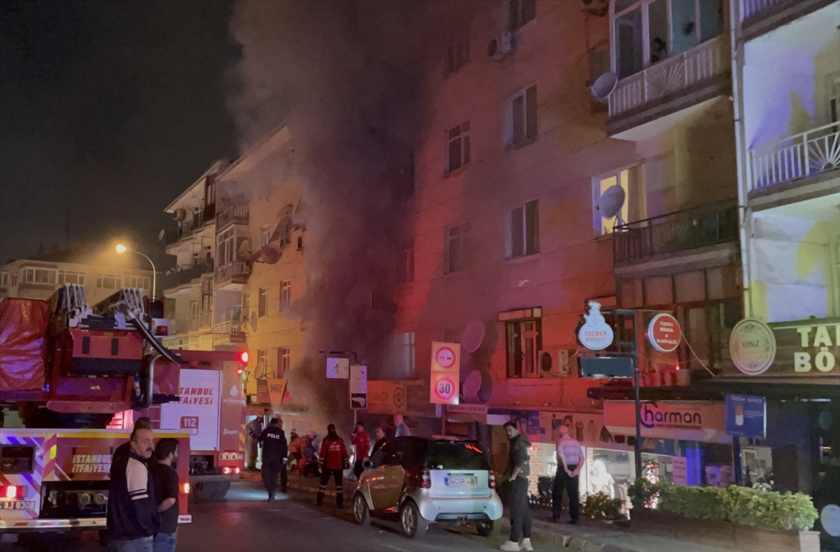 İstanbul Maltepe\'deki Petshop Yangınında Çok Sayıda Hayvan Telef Oldu