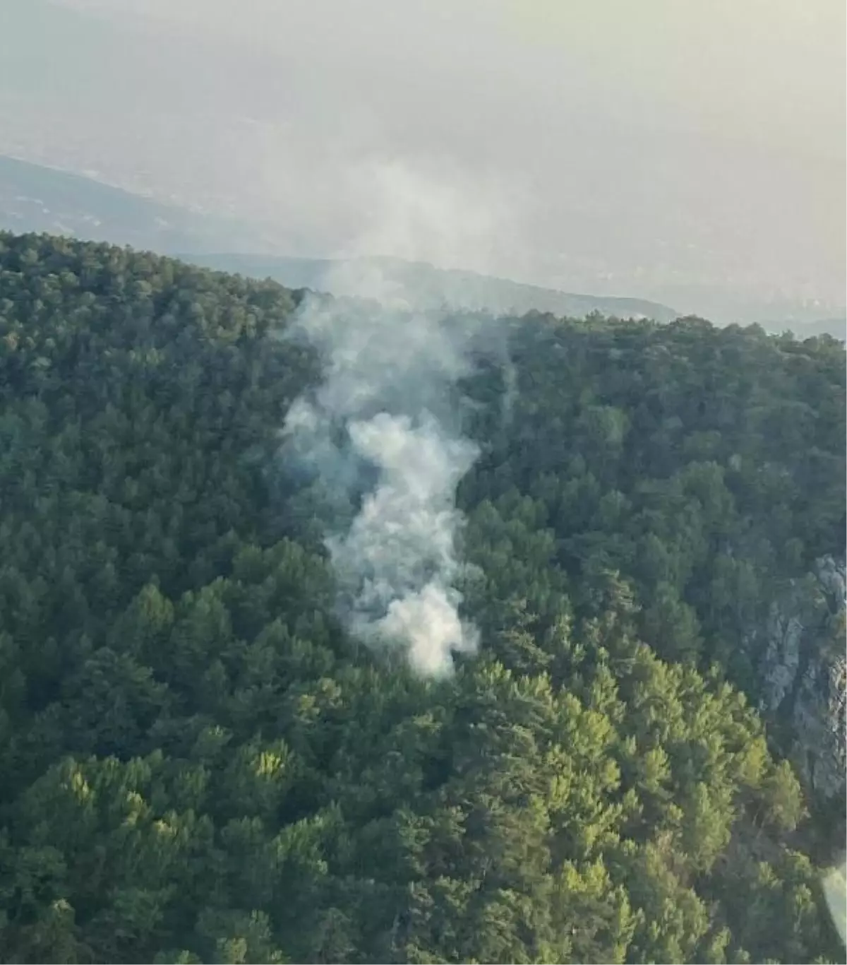 İzmir Bornova'da Orman Yangını Kontrol Altına Alındı