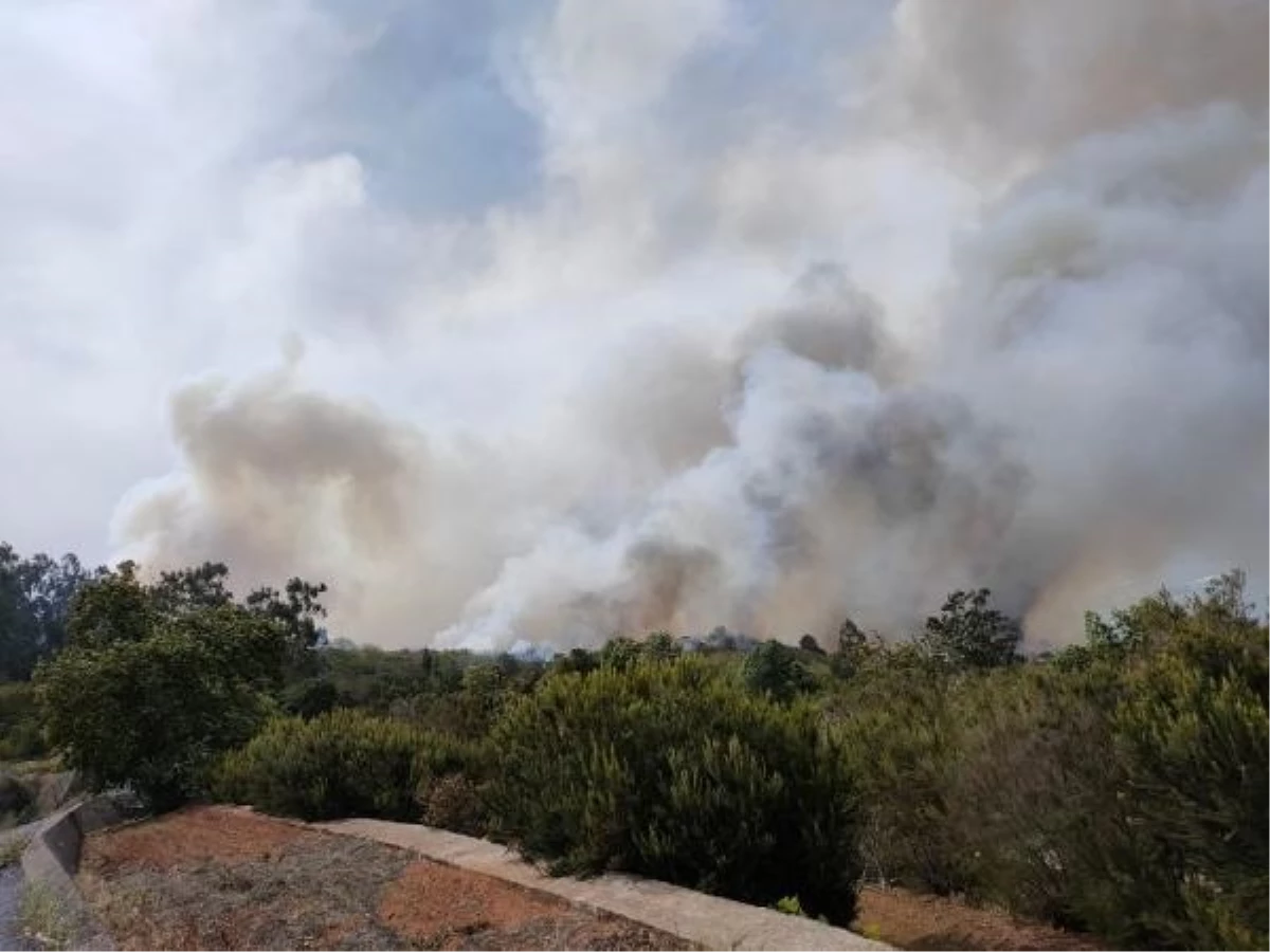 İspanya\'nın Kanarya Adaları\'nda Yangın: 3 Bin Sivil Tahliye Edildi
