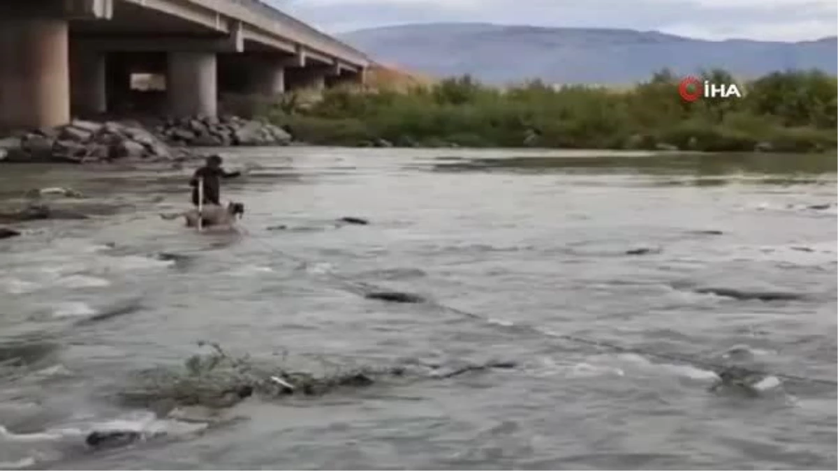 Nehirde mahsur kalan köpek kurtarıldı