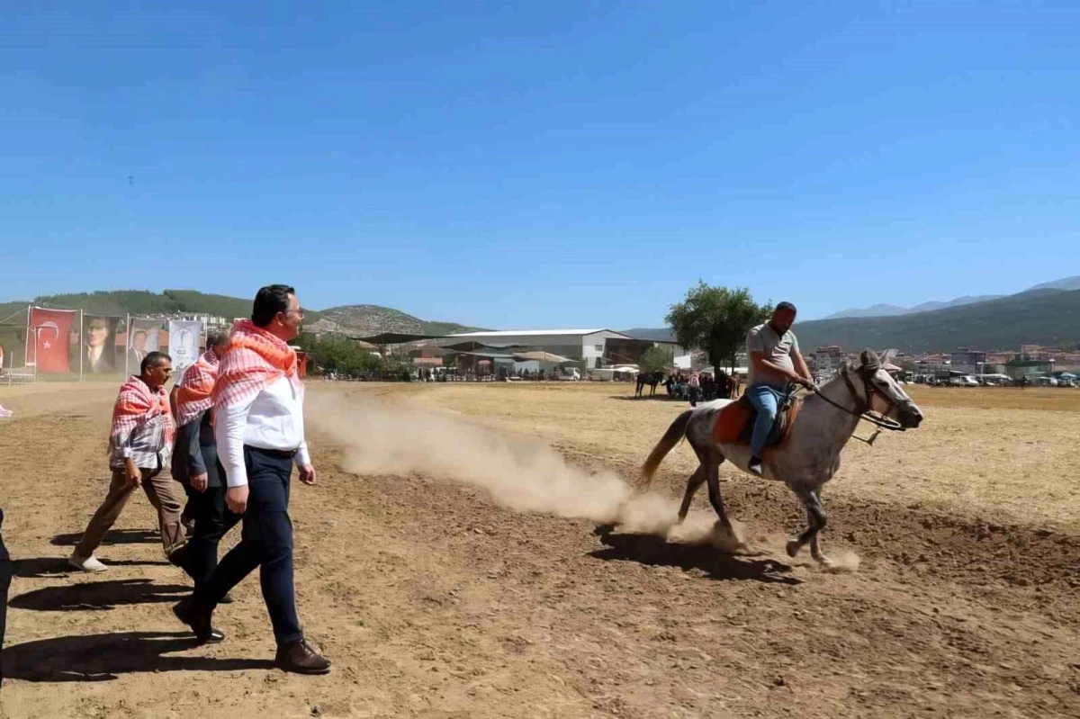 Tavas Belediyesi Rahvan At Yarışları