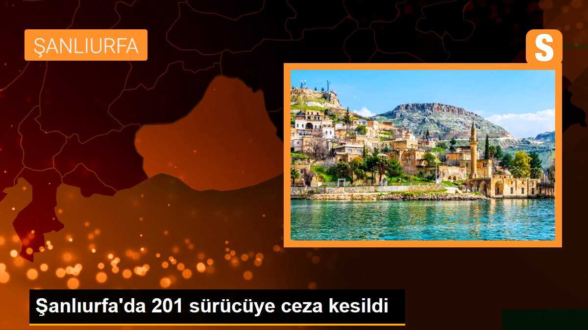Şanlıurfa\'da 201 sürücüye ceza kesildi