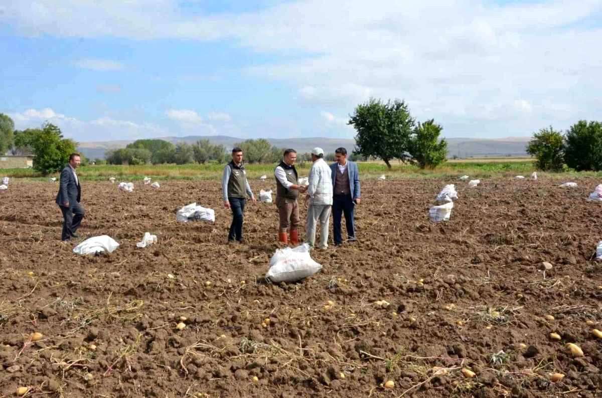 Afyonkarahisar\'ın Şuhut ilçesinde patates üretimi başladı