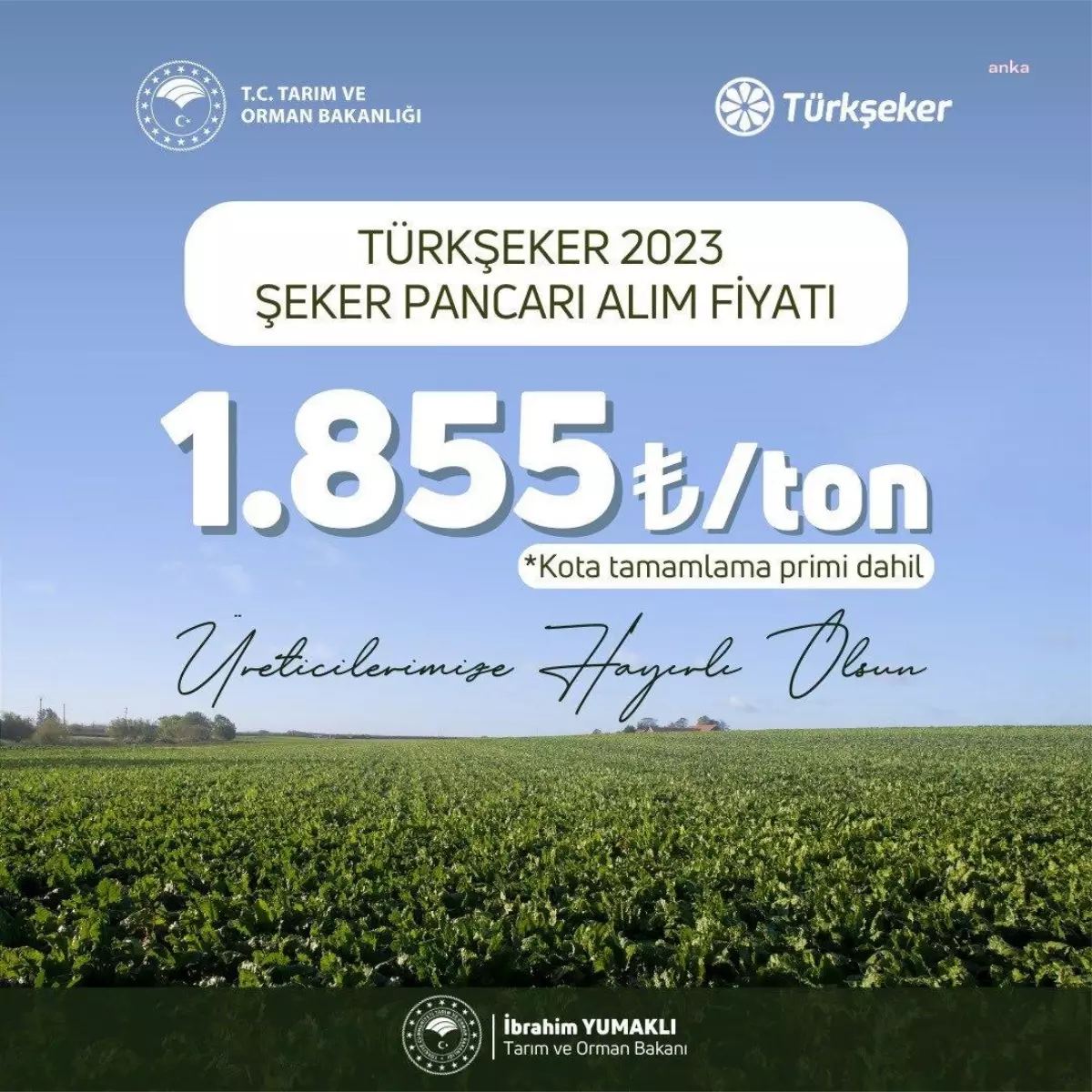 Şeker pancarı taban fiyatı bin 855 TL olarak açıklandı