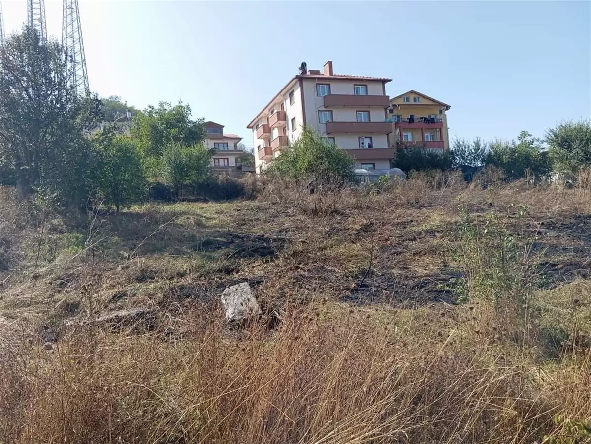 Bolu\'nun Yeniçağa ilçesinde çıkan ot yangını itfaiye tarafından söndürüldü