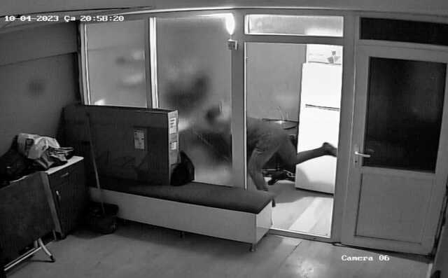 15 yaşındaki çırak, kuaförün kedisini defalarca tekmeledi