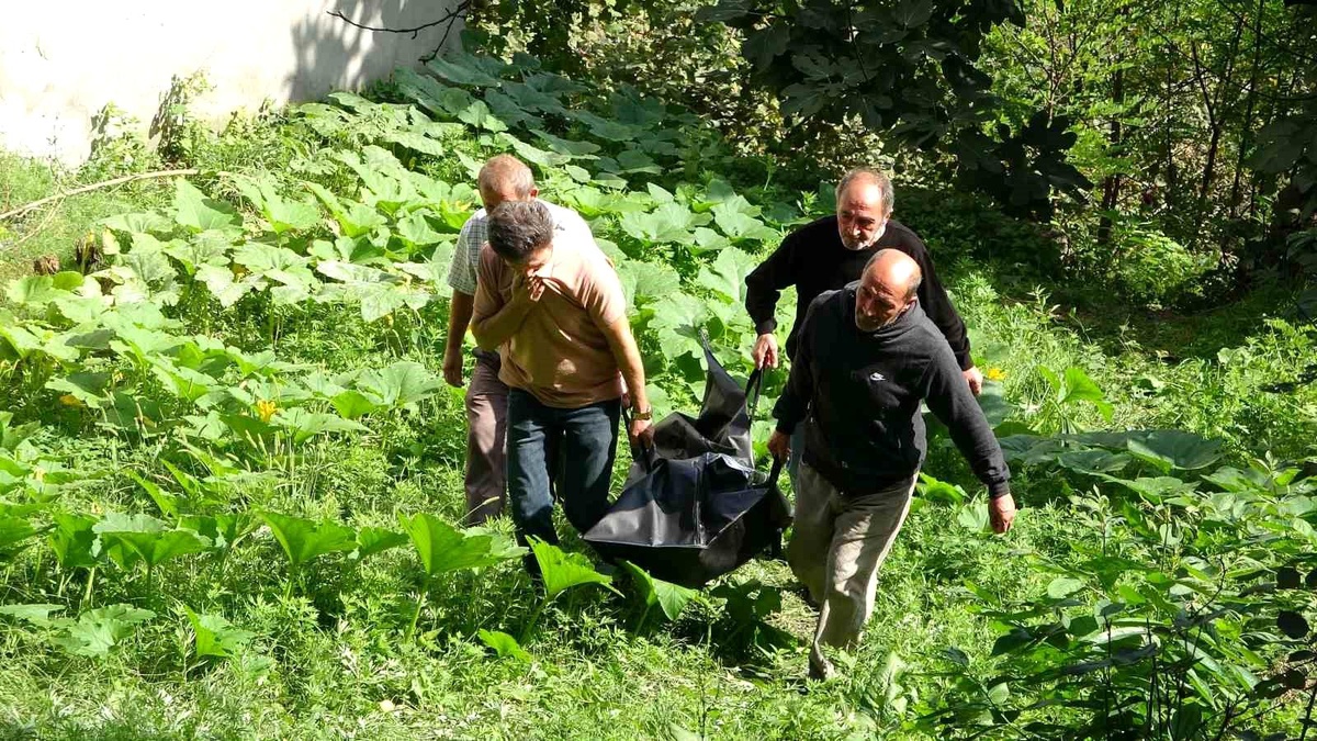 Ordu\'da Yabani Hayvanlar Tarafından Parçalanmış Ceset Bulundu