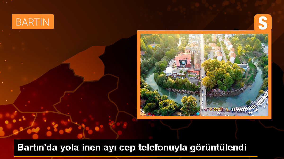 Bartın\'ın Ulus ilçesinde yola inen ayı cep telefonuyla kaydedildi