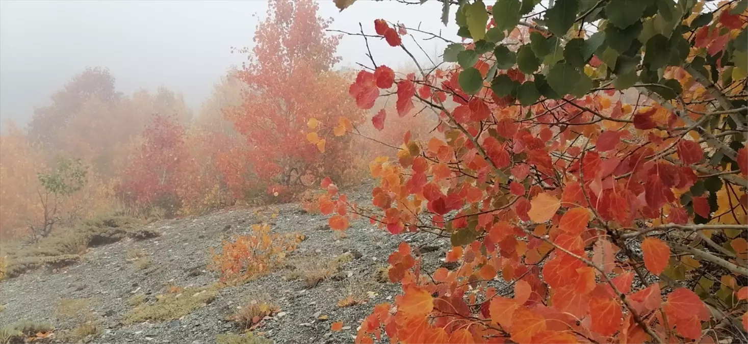 Bayburt'ta sonbahar renkleri hakim olmaya başladı