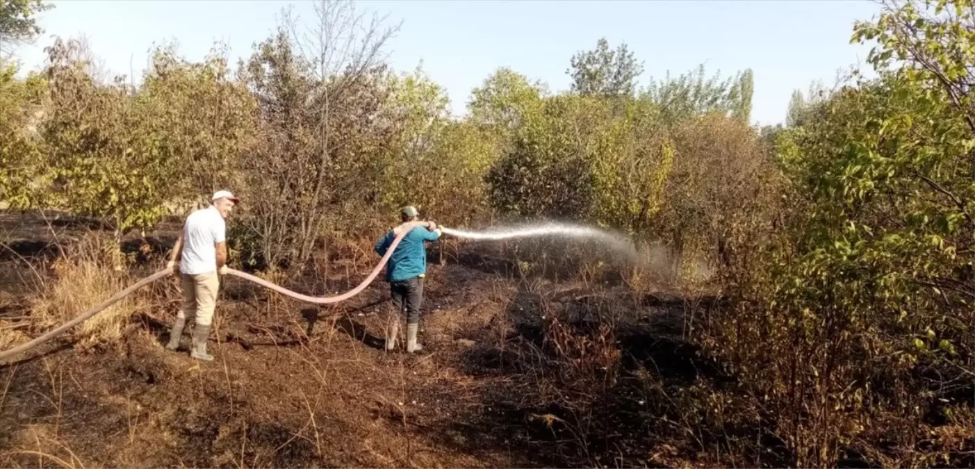 Çorum\'un Dodurga ilçesinde çıkan yangında 2 dönüm ceviz bahçesinde zarar oluştu