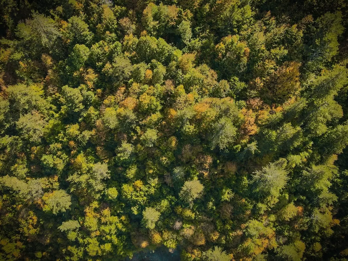 Ilgaz Dağı, sonbahar renkleriyle ziyaretçilerini ağırlıyor