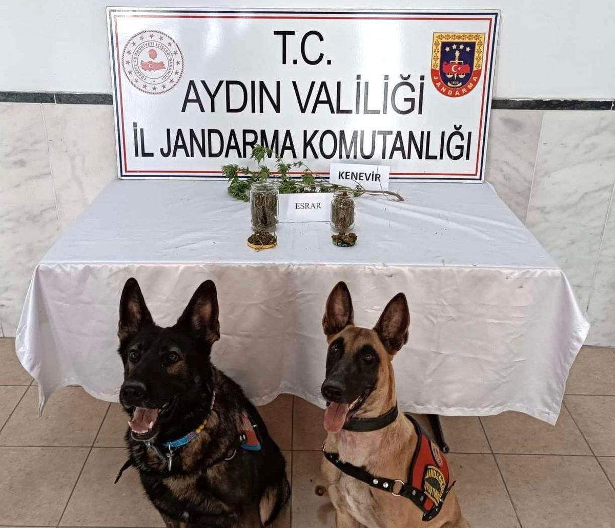 Aydın\'da Uyuşturucu Operasyonu: Evde ve Eklentilerinde Uyuşturucu Madde Bulundu
