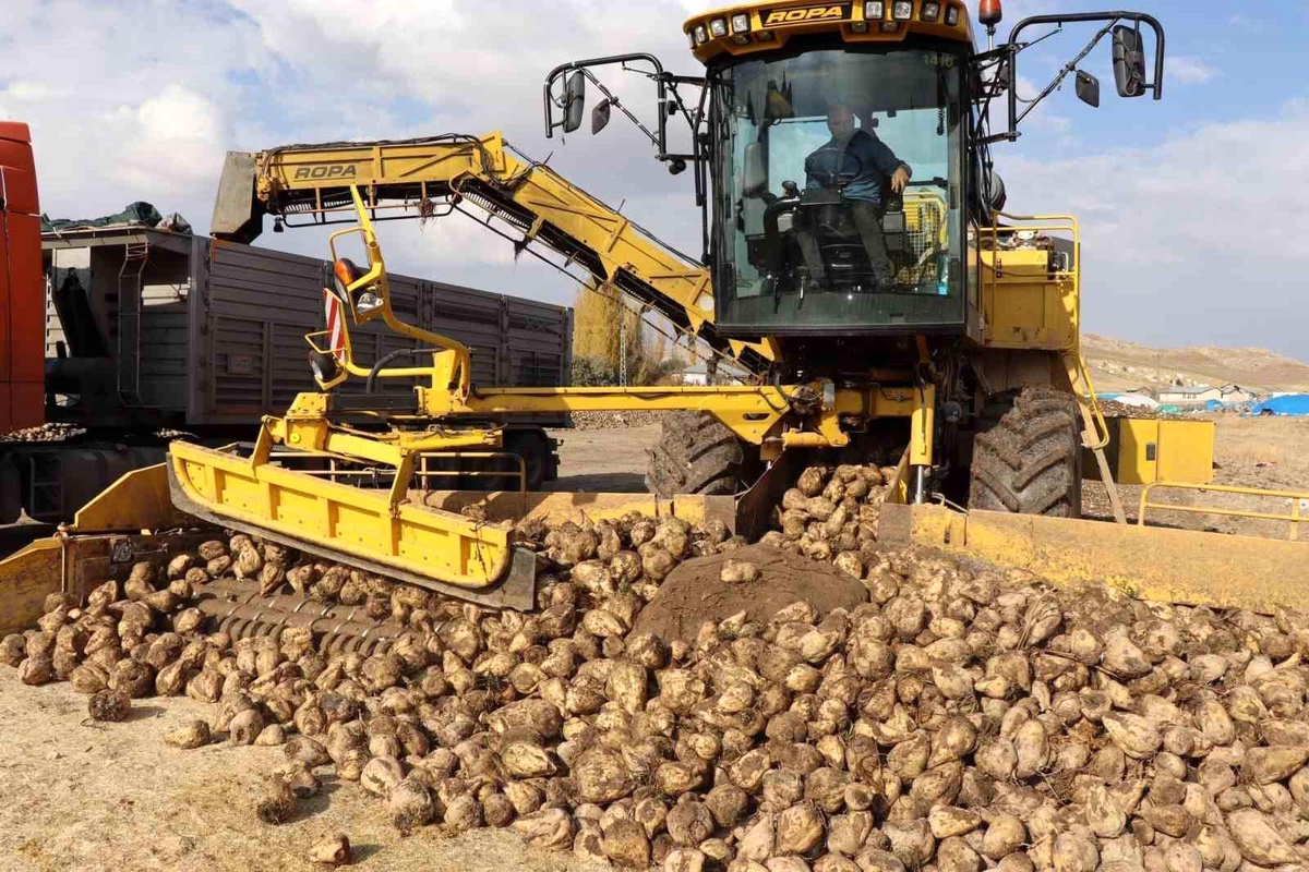 Tarım ve Orman Bakanı Yumaklı: 2023 Şeker Pancarı Alım Fiyatı Belli Oldu