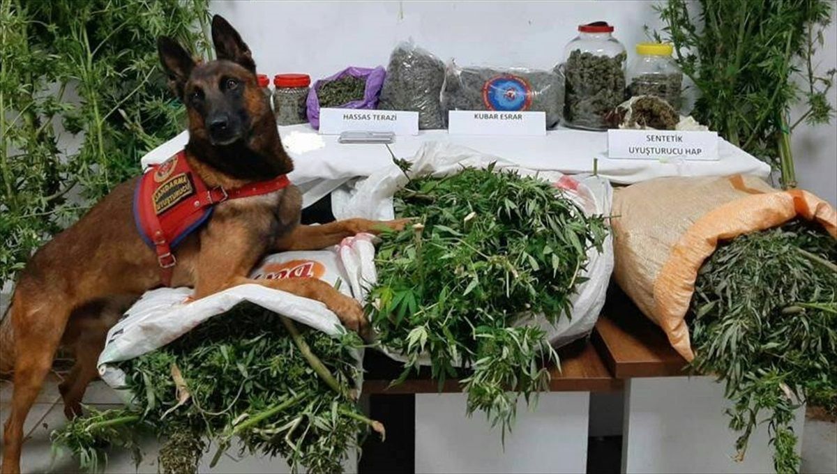 Trabzon\'da yapılan operasyonda 41 kilogram uyuşturucu ele geçirildi