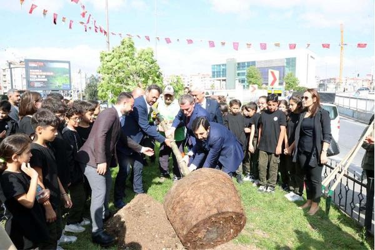 Zeytinburnu Belediyesi, Cumhuriyetin 100. Yılında 100 Çınar Ağacı Dikiyor
