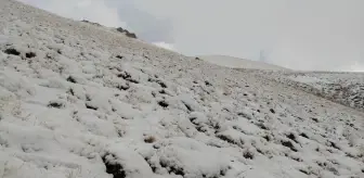 Başkale'nin yüksek kesimleri beyaza büründü
