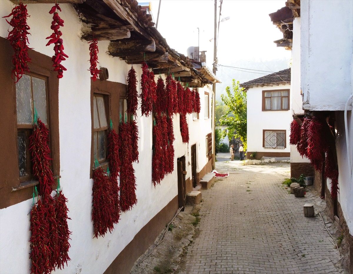 Çukurören Biberi Tanıtım Şenliği