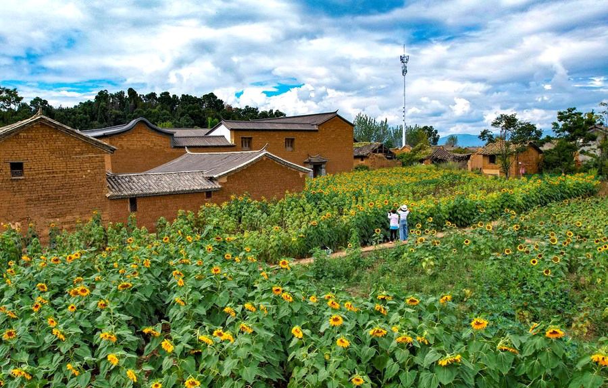 Çin\'in Yunnan eyaletinde turizm sektörü büyük bir artış yaşadı