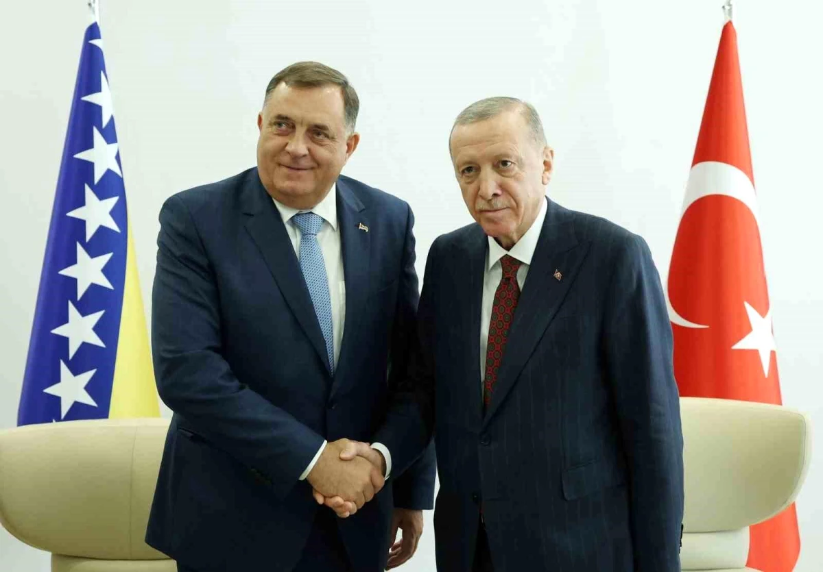 Cumhurbaşkanı Erdoğan, Bosna Hersek Devlet Başkanlığı Konseyi üyelerini kabul etti