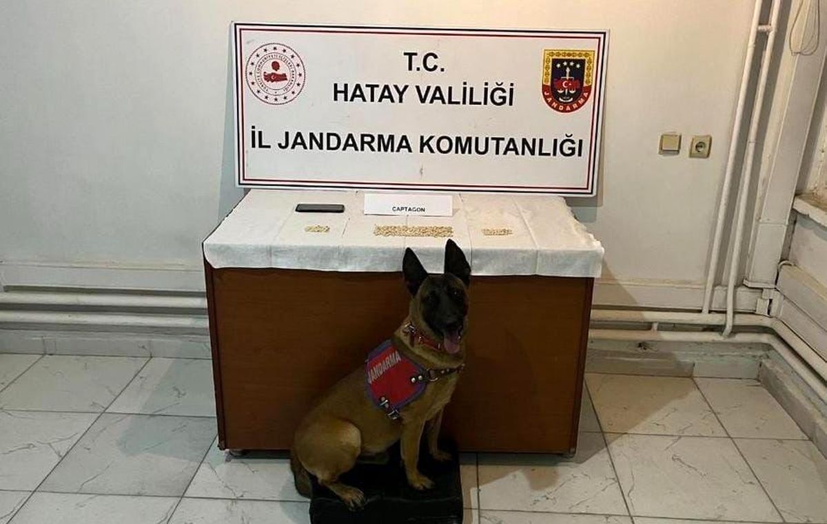 Hatay\'da bin 51 adet captagon hap ele geçirildi
