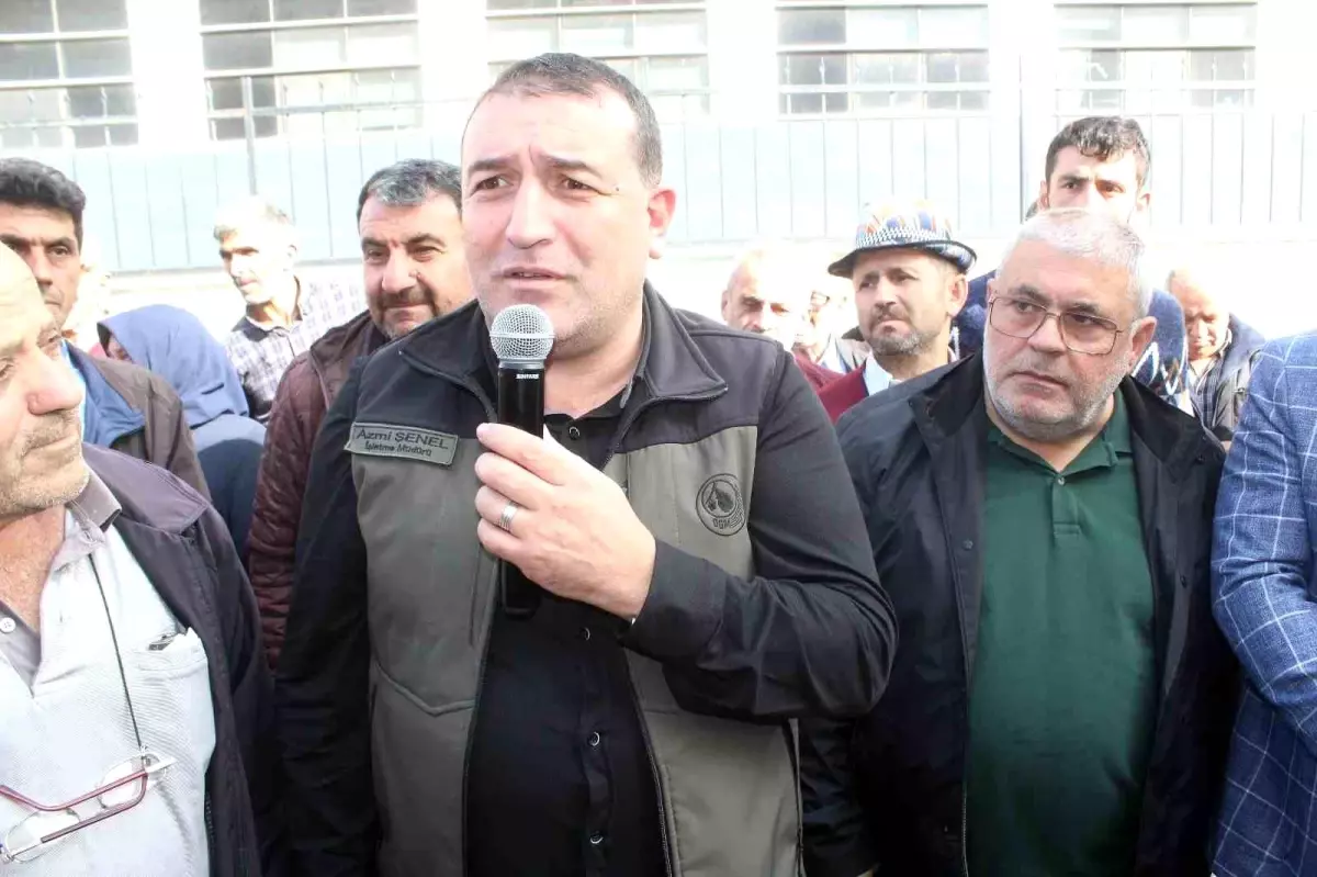 Kastamonu\'da Orman Köylüsüne Kestane Toplama Sınırlaması