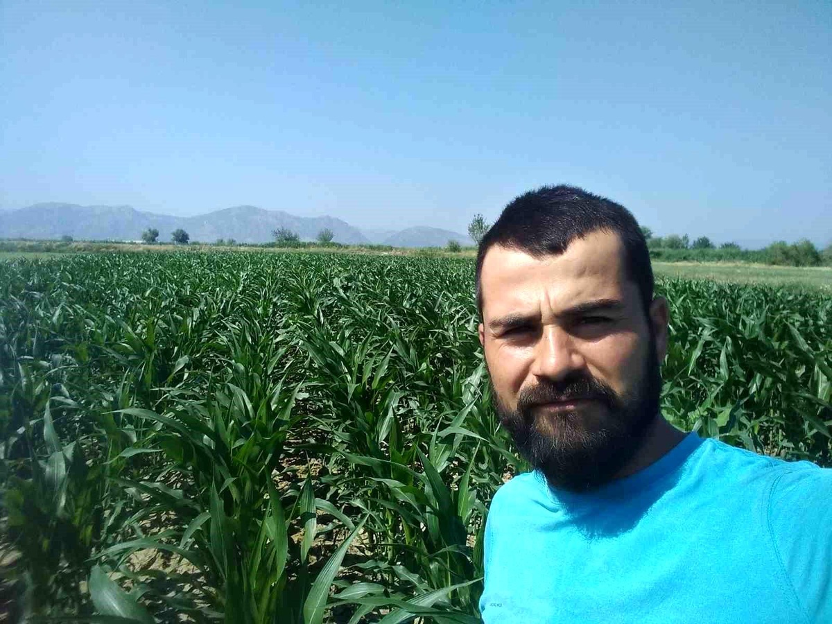 Aydın\'da domuz avına giderken kaza: Avcı hayatını kaybetti