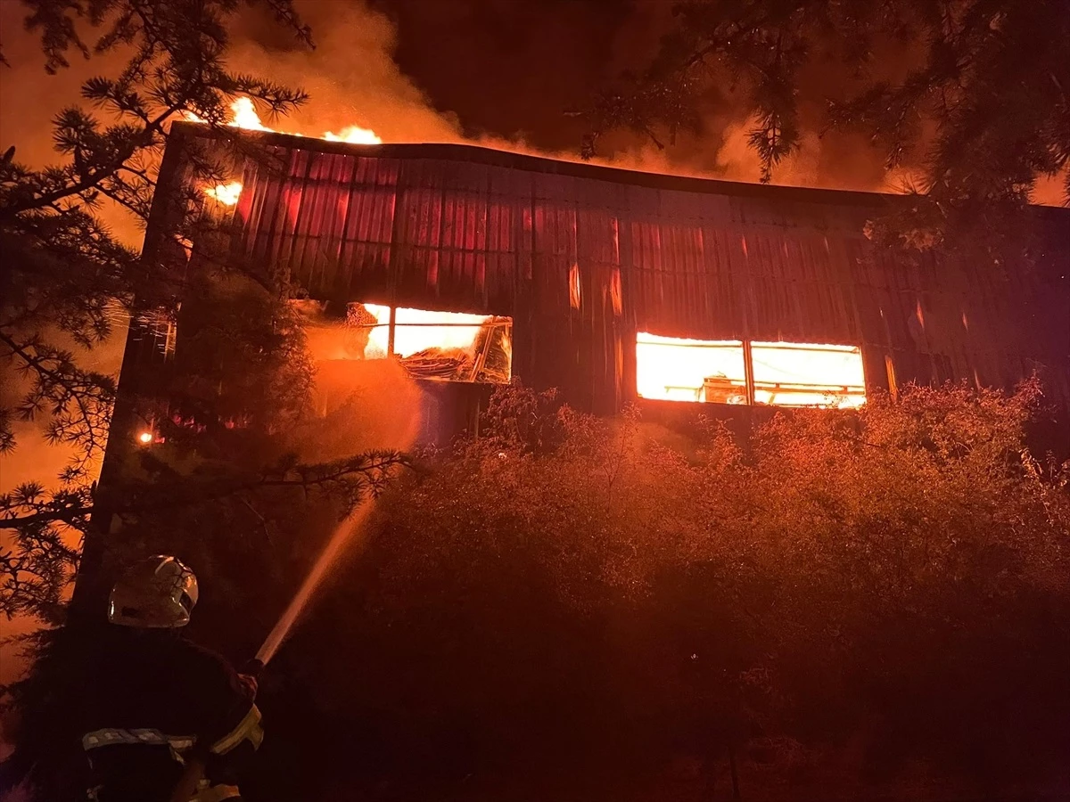 Kırklareli\'nde ağaç işleme fabrikasında çıkan yangın kontrol altına alınmaya çalışılıyor