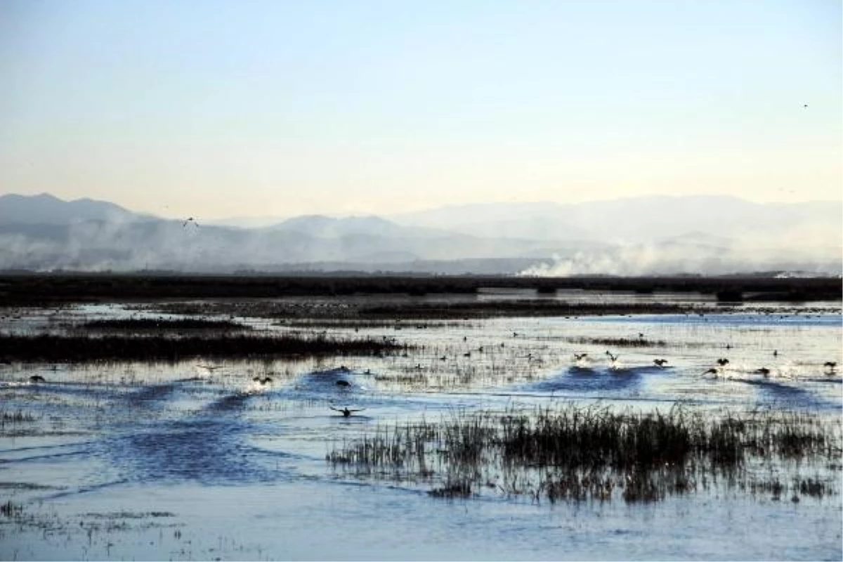 Kızılırmak Deltası Kuş Cenneti UNESCO\'nun kalıcı listesine girmek için çalışıyor