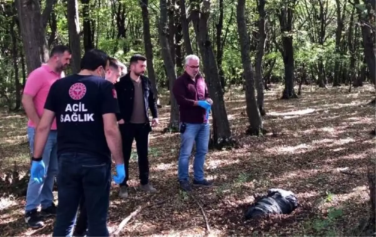 Gölköy Mesire Yerinde Koli Bantlarıyla Bağlanmış Halde Köpek Ölüsü Bulundu