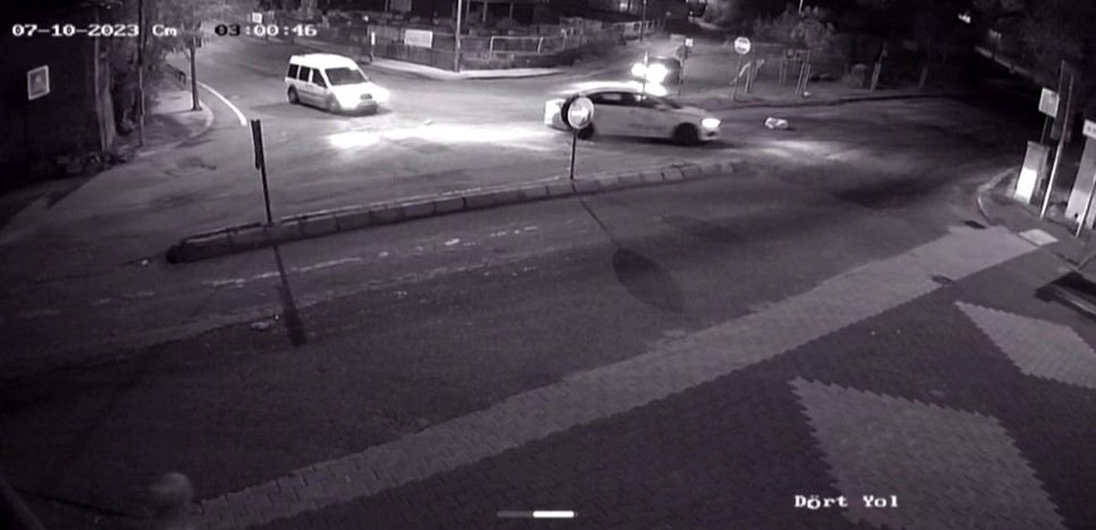 Maltepe\'de Yol Kenarında Yatan Köpek Ezildi
