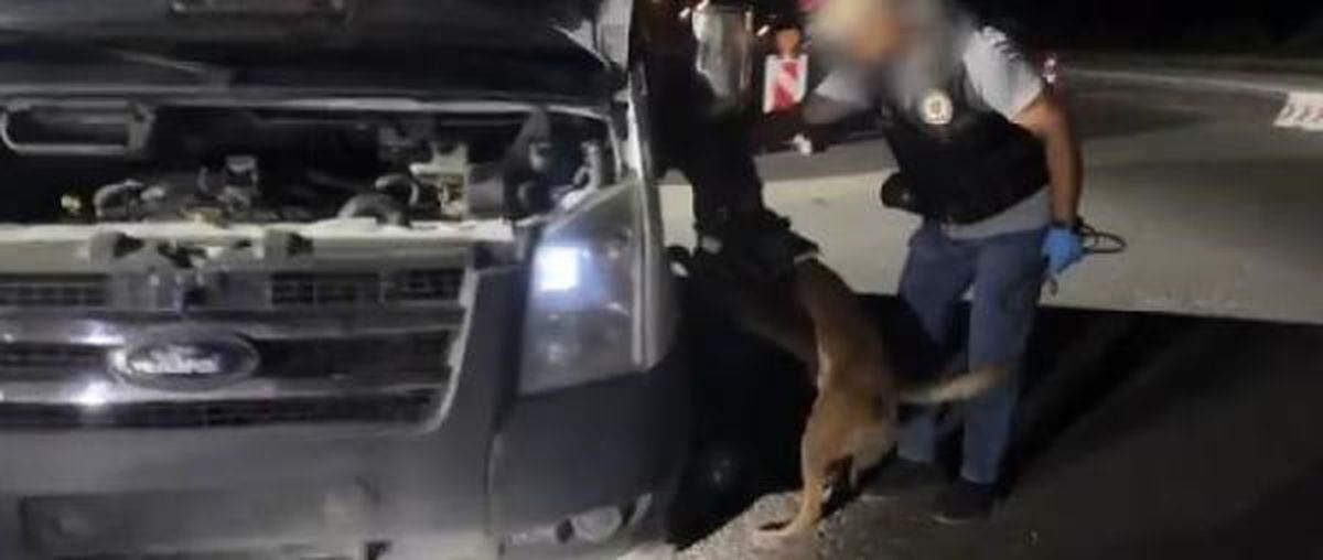 Gaziantep\'te minibüste 24 kilo skunk ele geçirildi