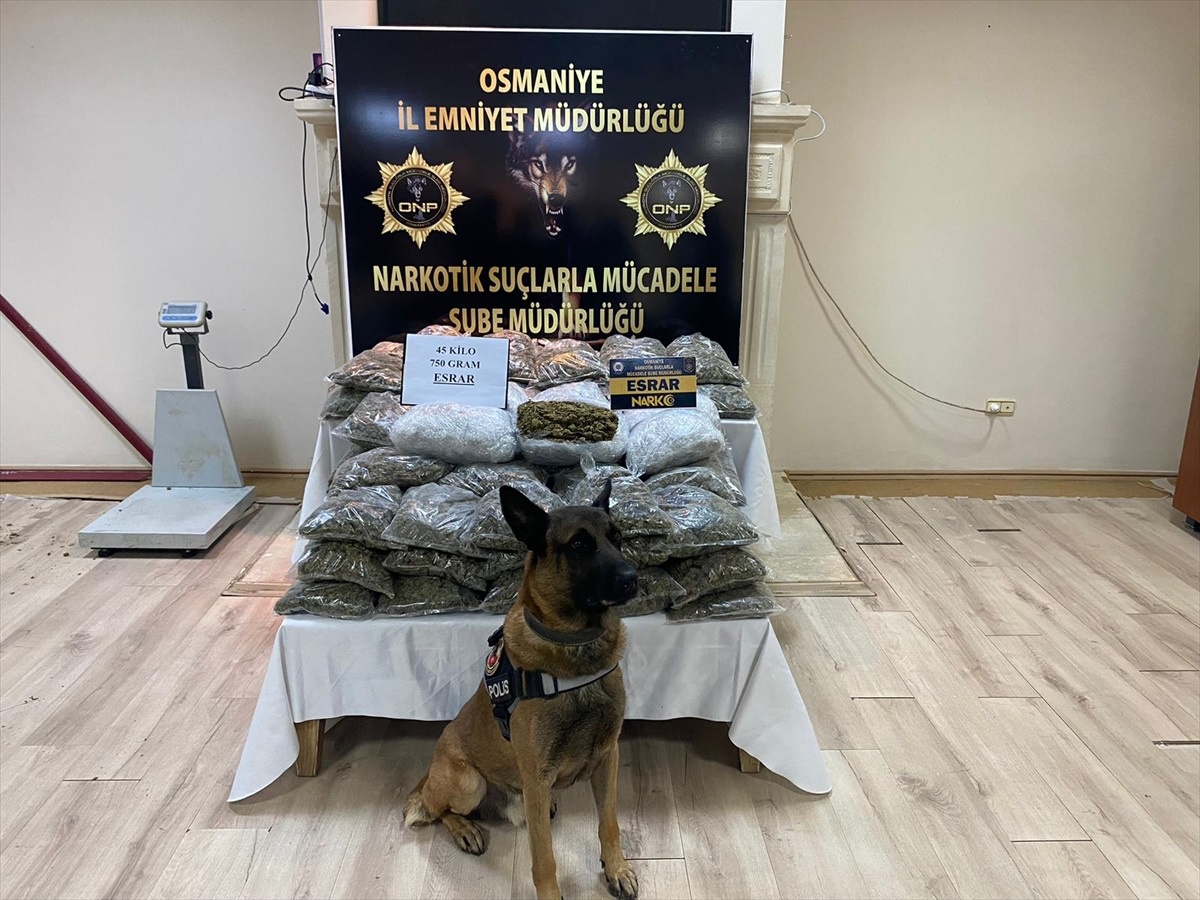 Osmaniye\'de 45 Kilo Esrar Ele Geçirildi, 4 Şüpheli Gözaltına Alındı