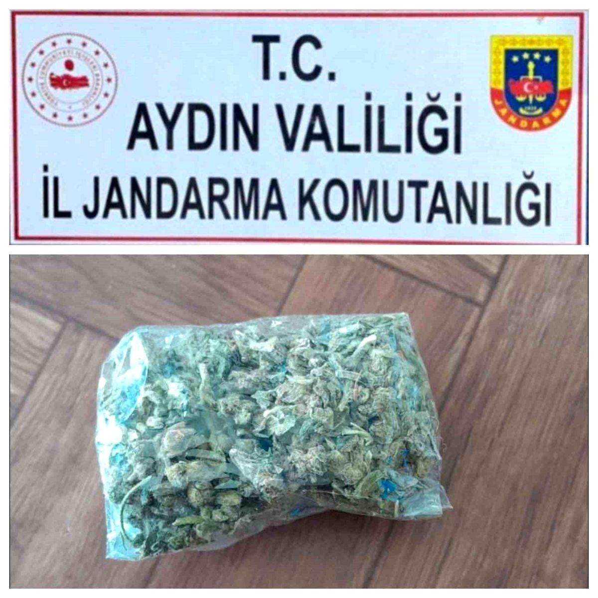 Aydın\'da yolcu otobüsünde uyuşturucu operasyonu