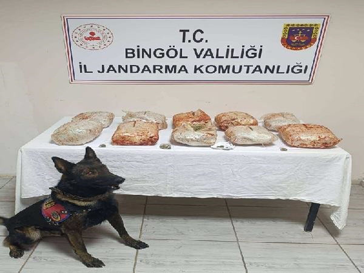 Bingöl\'de araçta yapılan aramada 10 kilogram esrar ele geçirildi