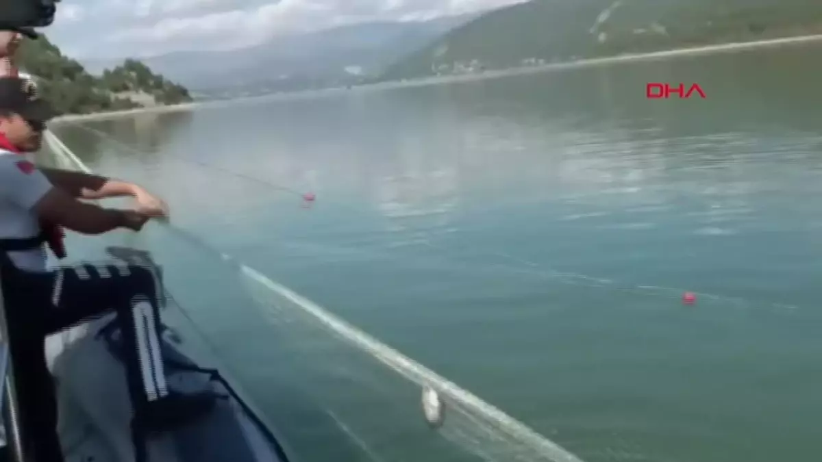 Baraj Gölünde Kurtarılan 200 Kilo Balık Suya Bırakıldı