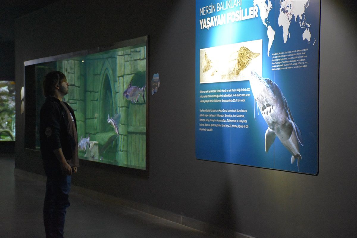 Trabzon\'da Tünel Akvaryum\'u 446 Bin Turist Gezdi