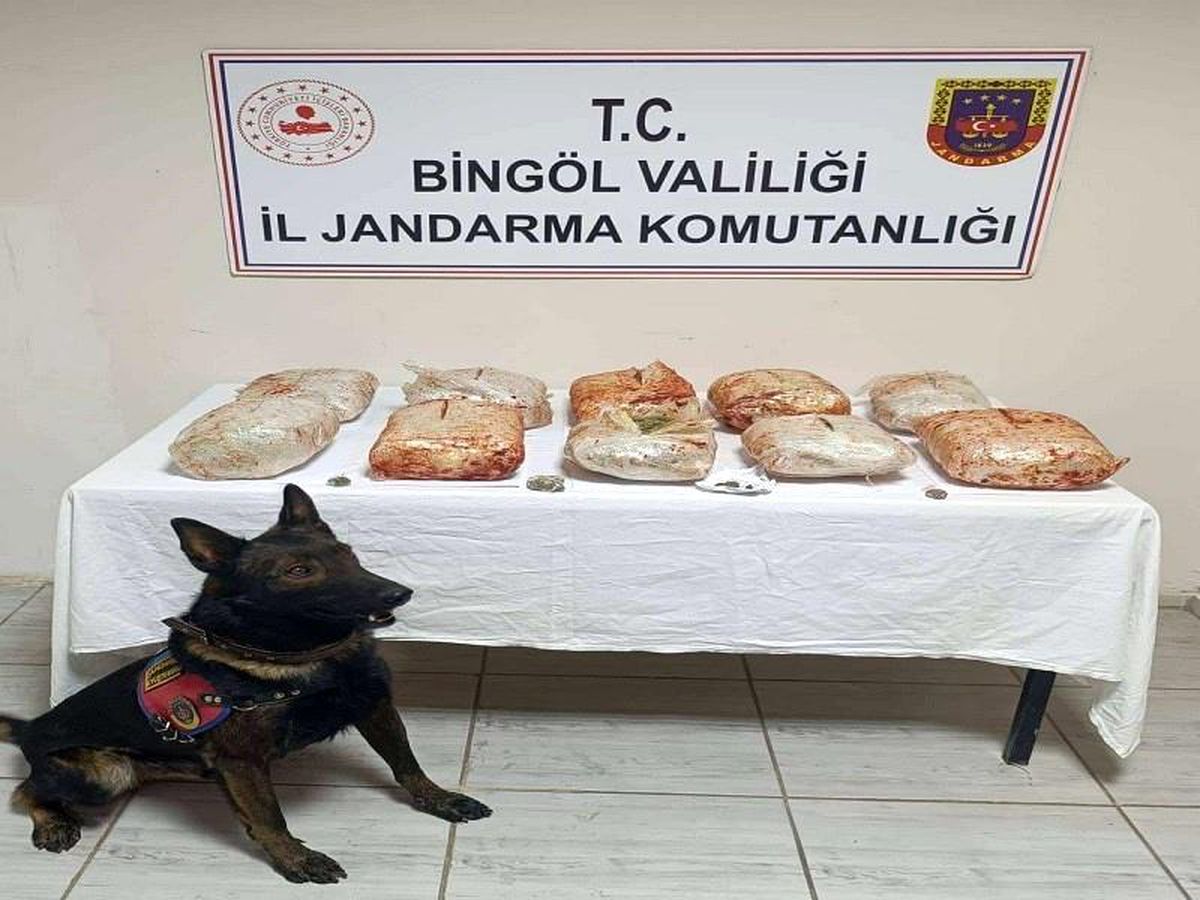 Bingöl\'de Durdurulan Araçta 10 Kilo Esrar Ele Geçirildi