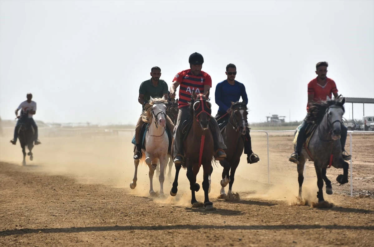 Manavgat\'ta Geleneksel Rahvan At Yarışları Düzenlendi
