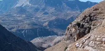 Siirt'te Kayıp Kişi Ölü Olarak Bulundu