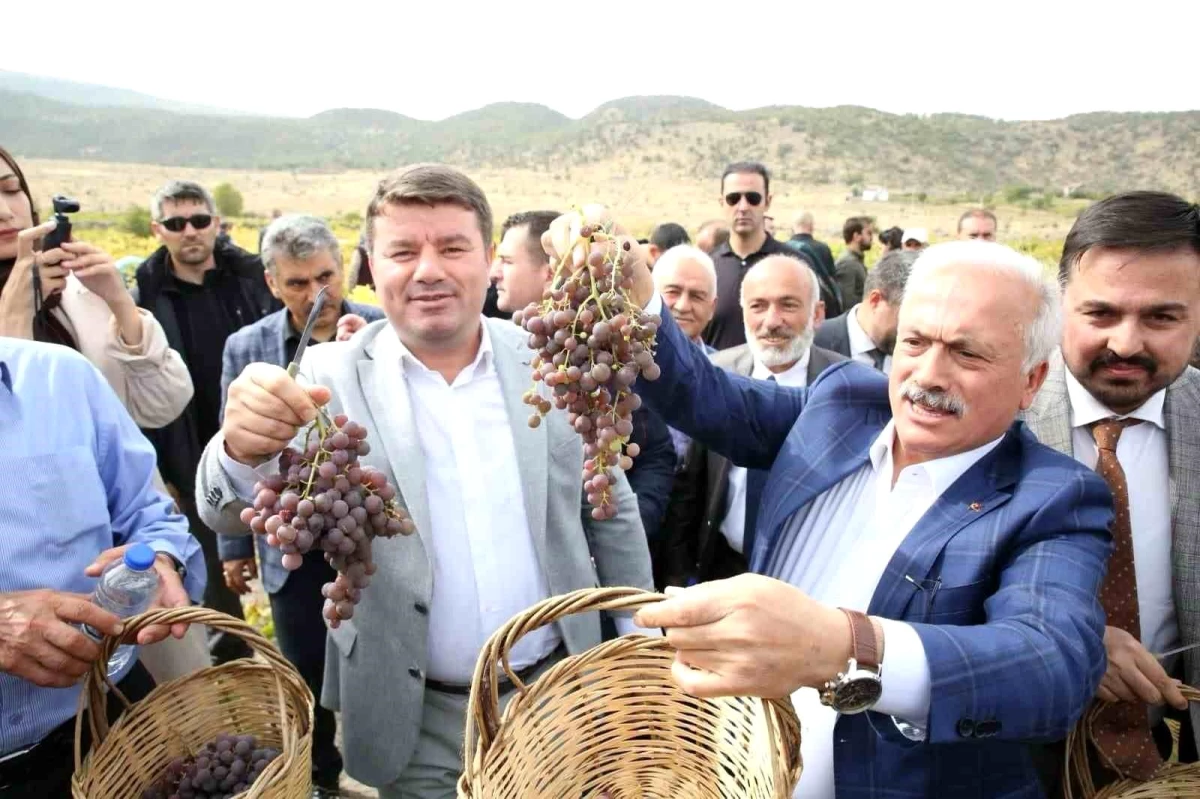 Aksaray Belediyesi 2. Geleneksel Bağ Bozumu ve Pekmez Festivali düzenledi