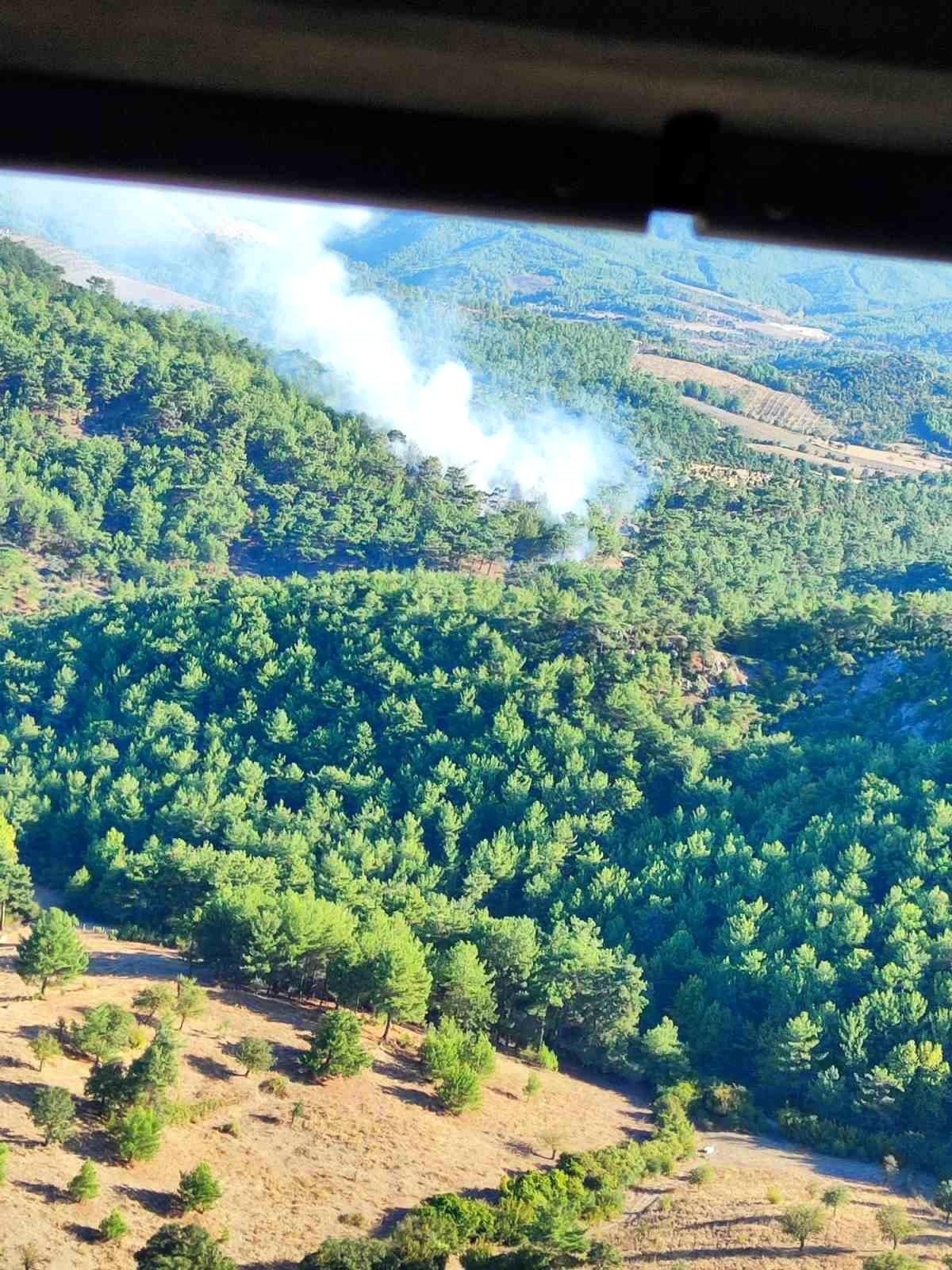 Çanakkale\'nin Ayvacık ilçesinde orman yangını çıktı