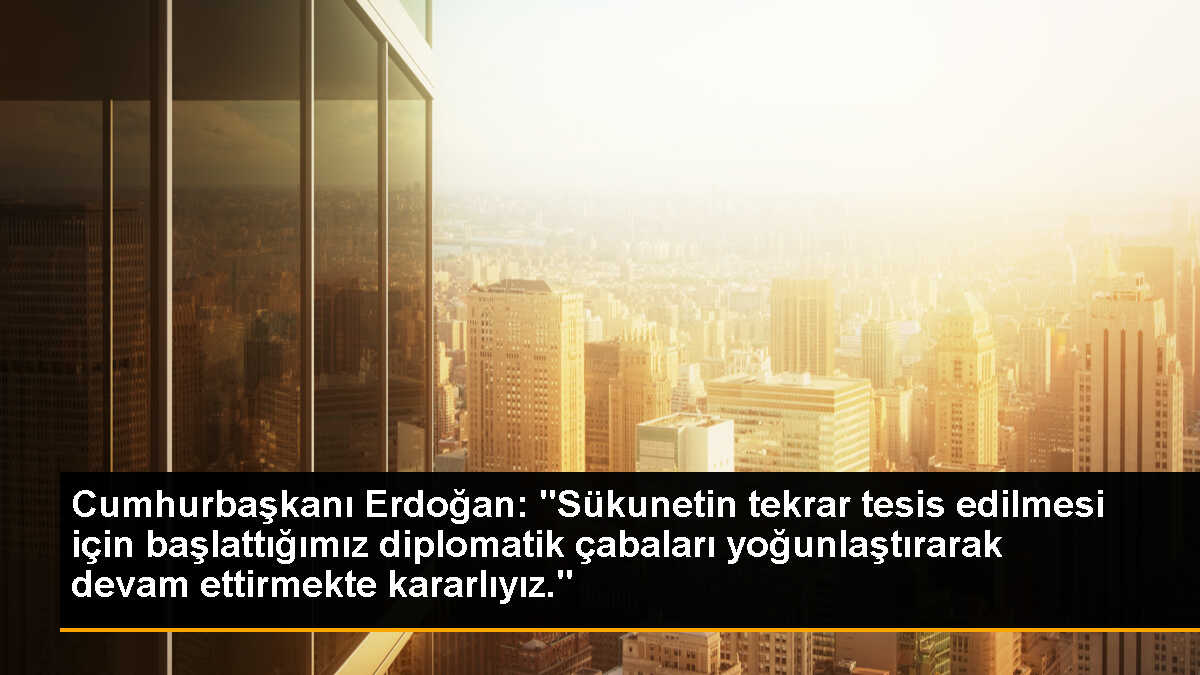 Cumhurbaşkanı Erdoğan: "Sükunetin tekrar tesis edilmesi için başlattığımız diplomatik çabaları yoğunlaştırarak devam ettirmekte kararlıyız."