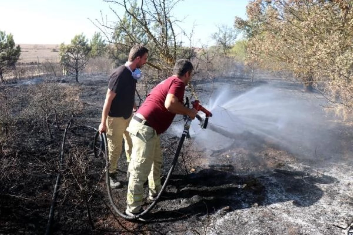Edirne\'de Ormanda Çıkan Yangın Kontrol Altına Alındı