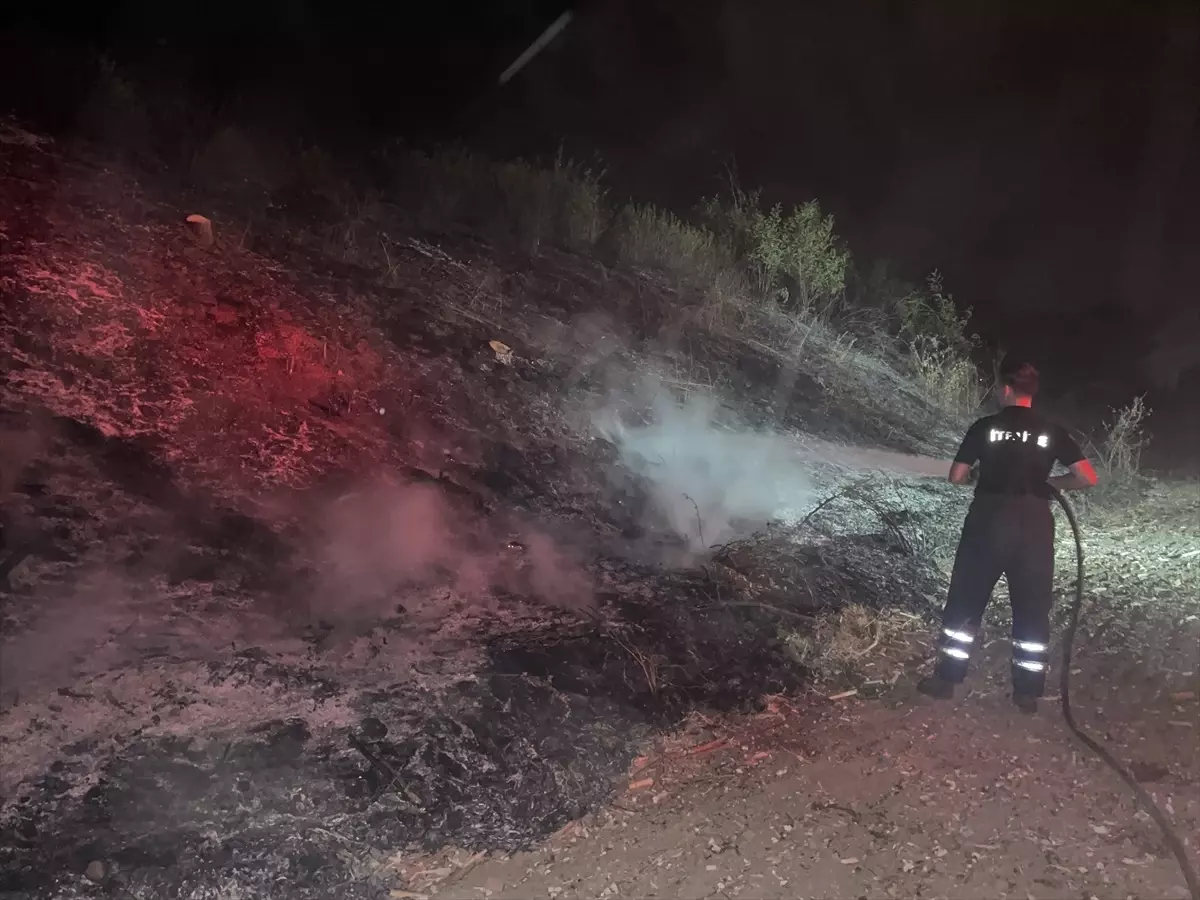 Edirne\'de tren yolu kenarındaki otluk alanda çıkan yangın kontrol altına alındı