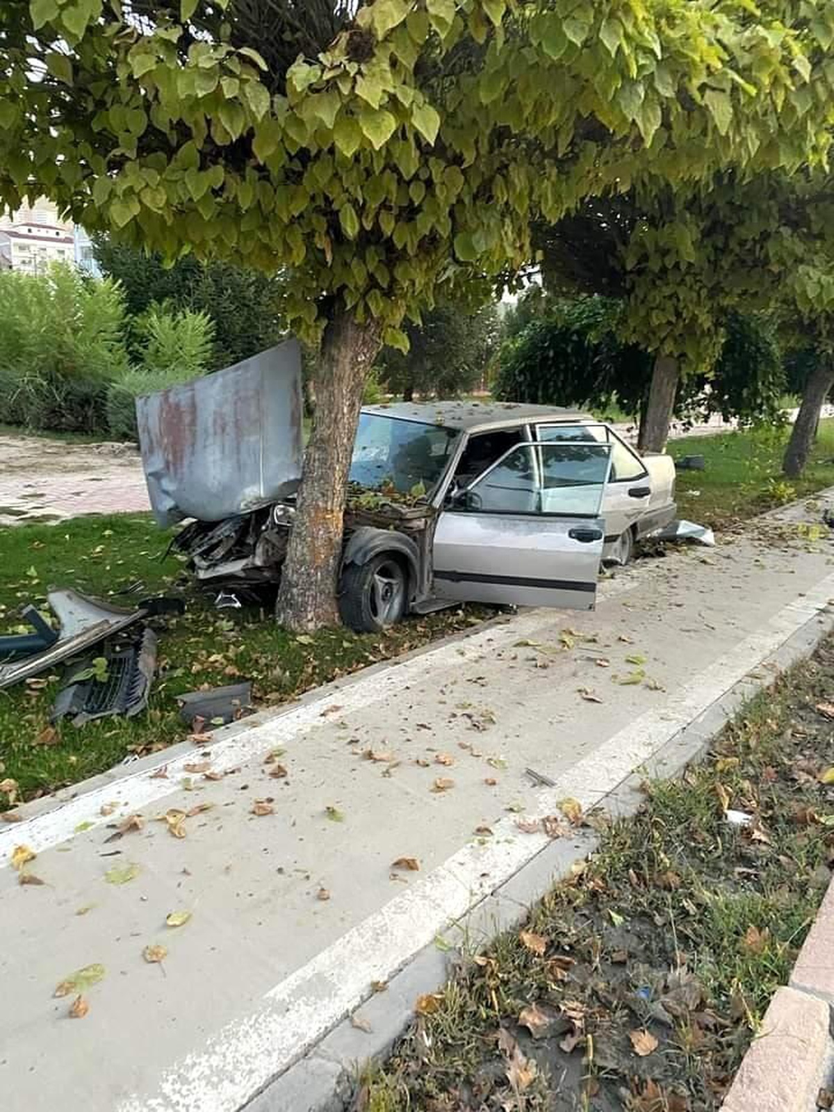 Elazığ\'da Kontrolden Çıkan Otomobil Ağaca Çarptı, Bir Kişi Yaralandı