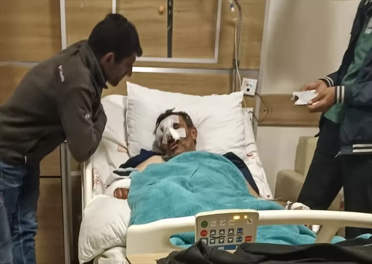 Kars'ın Selim ilçesinde ayı saldırısına uğrayan kişi ağır yaralandı